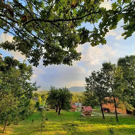 Садиба У Романа Verkhneye Sinevidnoye Exterior photo